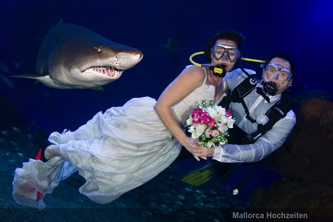 Mallorca Hochzeiten